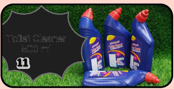 TOILET CLEANER (500ML)