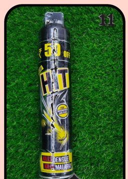 Black Hit Mosquito & Fly Killer Spray