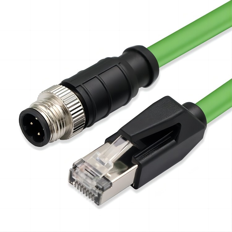 4-Core D Type Male M12 To RJ45