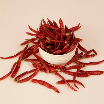 Guntur Dry Chilli