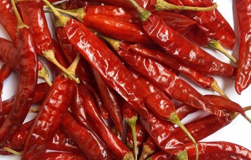 Sannam 334 Red Chilli