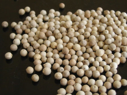 White Paper Seeds