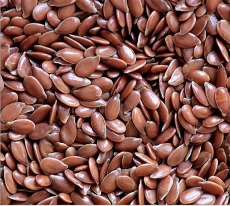 FlaxSeeds