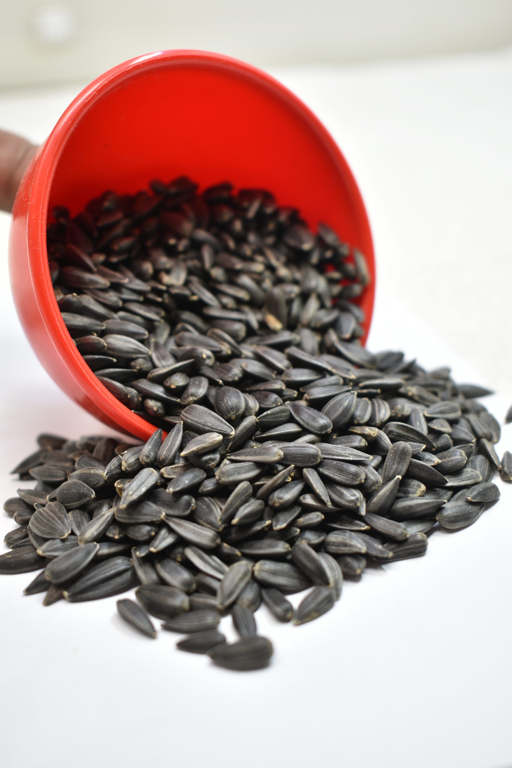 Sunflower Seeds