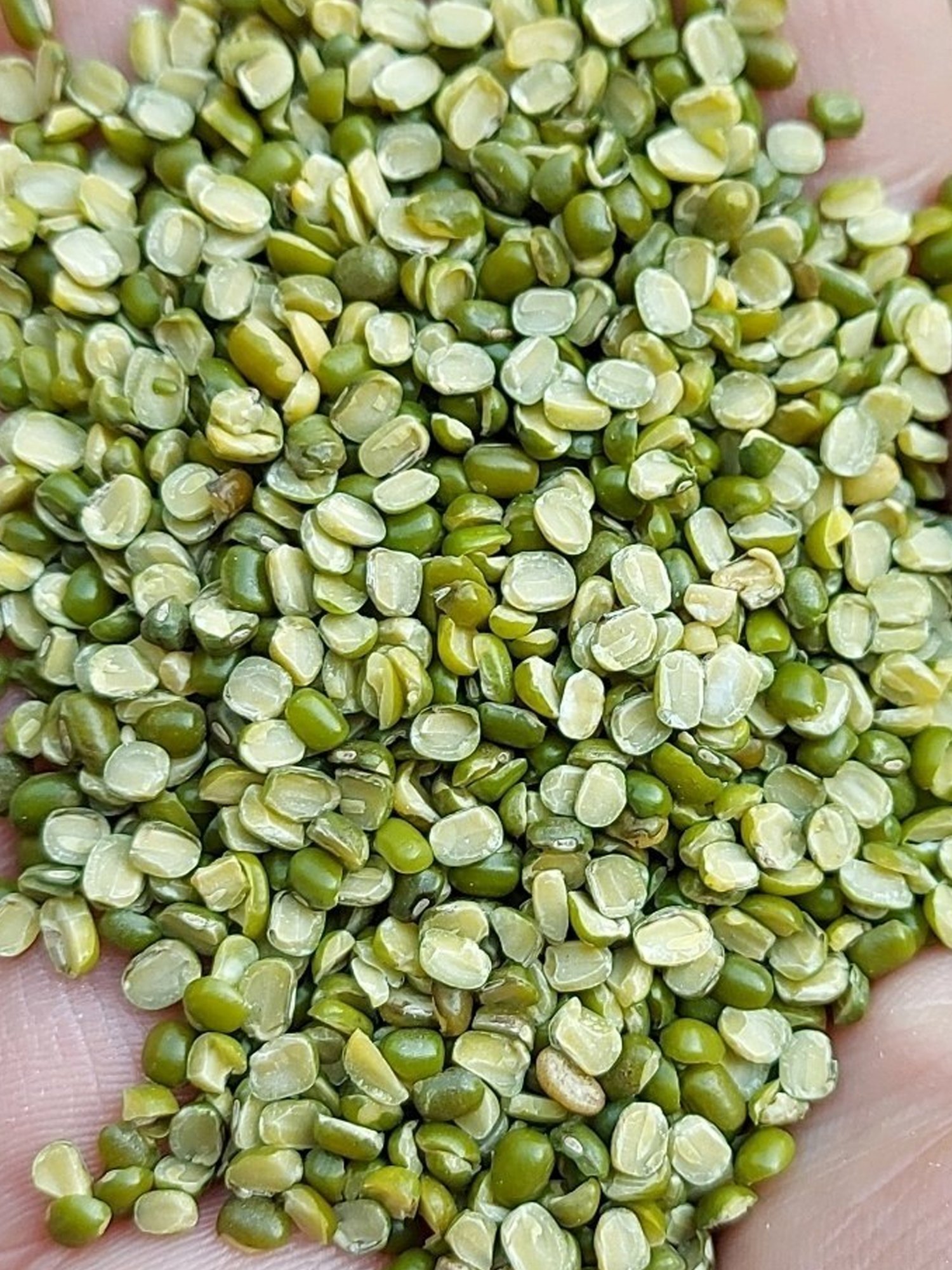 Green Moong Dal